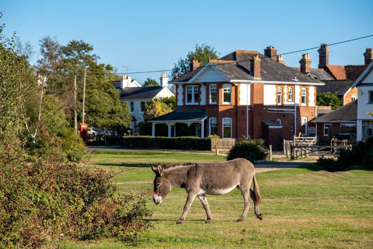 Surrey Lodge Brockenhurst Exteriér fotografie